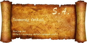 Somosy Antal névjegykártya